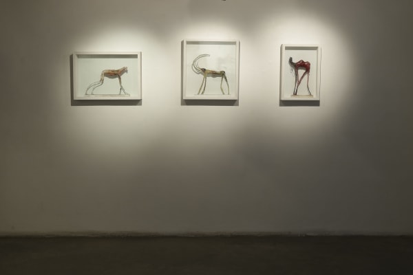 Farrokh Nooroney Animality Basement Highres 12