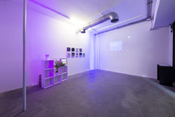 Installation View of Screen Saver a solo presentation of works by Peyman Konjkav.