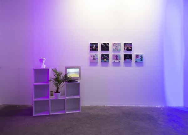Installation View of Screen Saver a solo presentation of works by Peyman Konjkav.