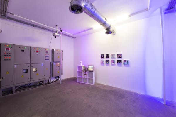 Installation View of Screen Saver a solo presentation of works by Peyman Konjkav.
