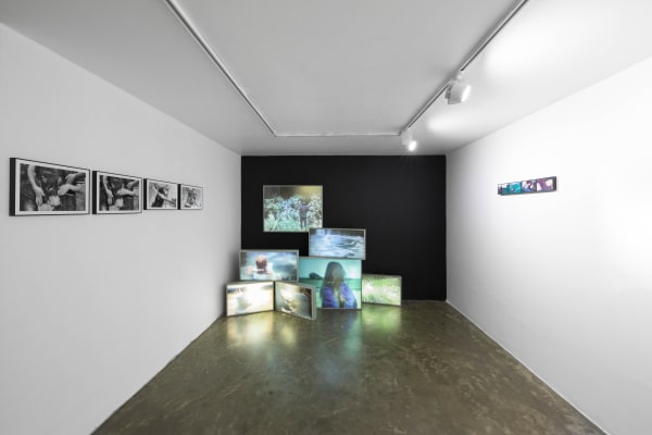 Installation View of On the Pictures a solo presentation of works by Pouya Parsamagham.