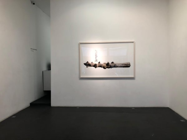 Installation View of Le Premier a solo presentation of works by Nima Zaare Nahandi.
