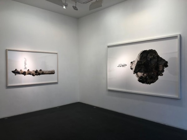 Installation View of Le Premier a solo presentation of works by Nima Zaare Nahandi.