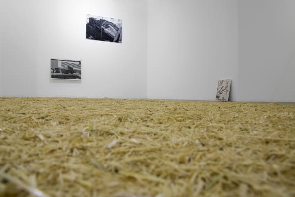 1398 2019 Kimia Kamvari Event Horizon Dastan S Basement Installation View Lowres 06 503A5908 Copy