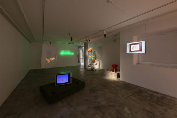 Installation View of Honey, I am home a solo presentation of works by Hoda Zarbaf.