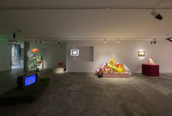 Installation View of Honey, I am home a solo presentation of works by Hoda Zarbaf.