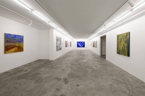 Installation View of Coloured Waves a solo presentation of works by Seroj Barseghian.