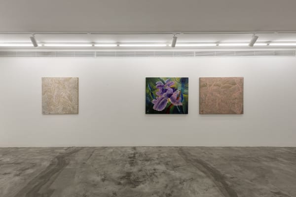 Installation View of Coloured Waves a solo presentation of works by Seroj Barseghian.