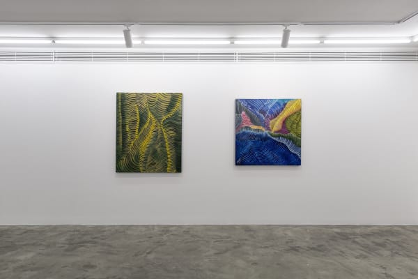 Installation View of Coloured Waves a solo presentation of works by Seroj Barseghian.
