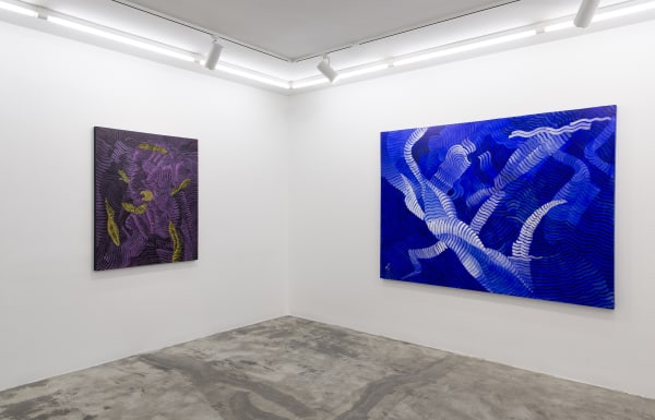 Installation View of Coloured Waves a solo presentation of works by Seroj Barseghian.