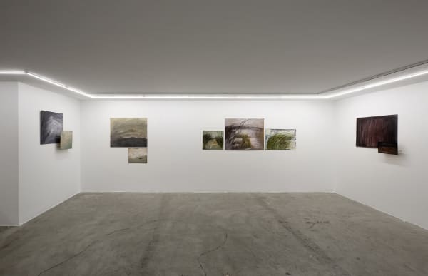 Installation view of Shame a solo exhibition of works by Samira Shakeri.