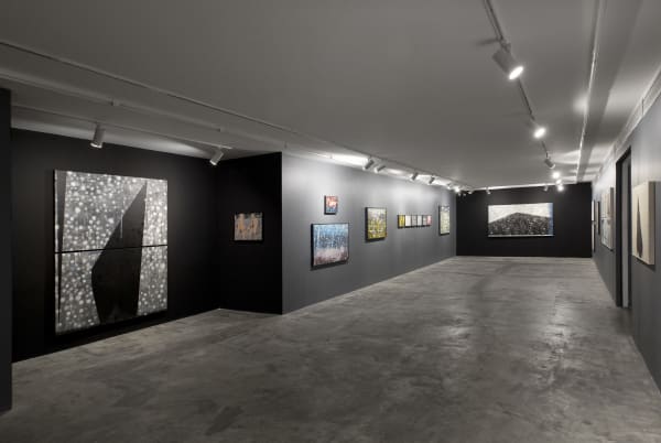 Installation View of Freedom a solo exhibition of works by Aidin Xankeshipour.