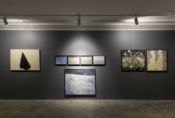 Installation View of Freedom a solo exhibition of works by Aidin Xankeshipour.