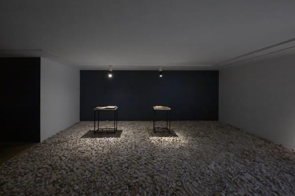 Installation View of The Library of Babel a solo presentation of works by Kolsum Salehi.