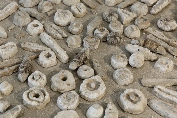Installation View of The Library of Babel a solo presentation of works by Kolsum Salehi.