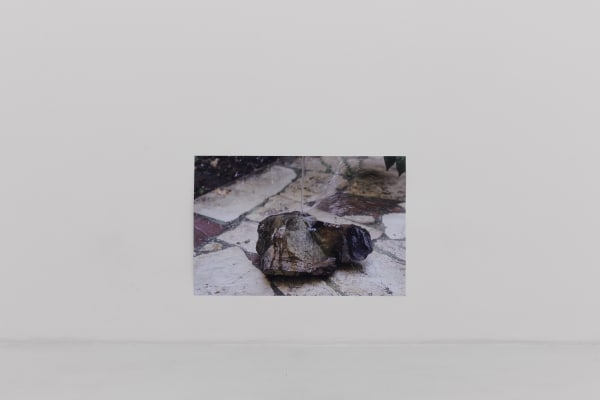 Installation view of Prospect 2 a group show at Parallel Circuit.