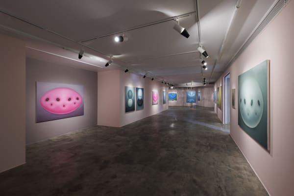 Installation View of 'Disposition' at +2 Gallery.