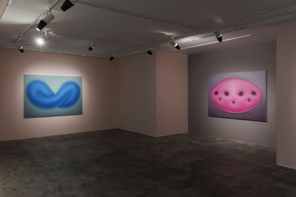 Installation View of 'Disposition' at +2 Gallery.