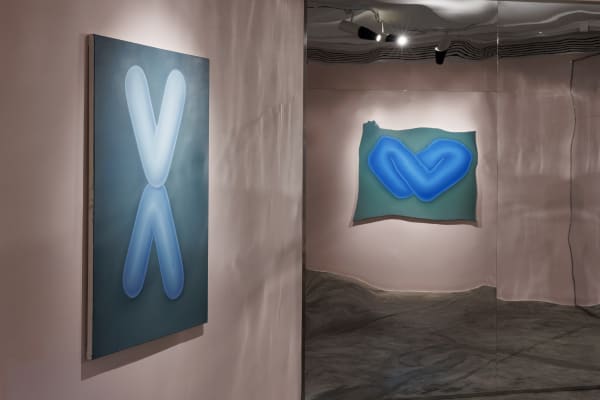 Installation View of 'Disposition' at +2 Gallery.