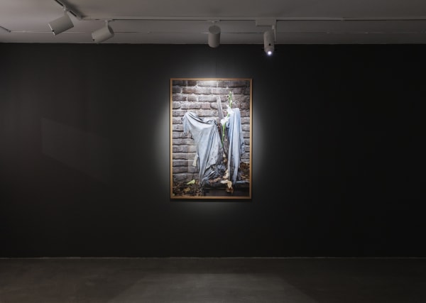 Installation View of Tulip, Solo Exhibition of Melika Shafahi, at Dastan's Basement.