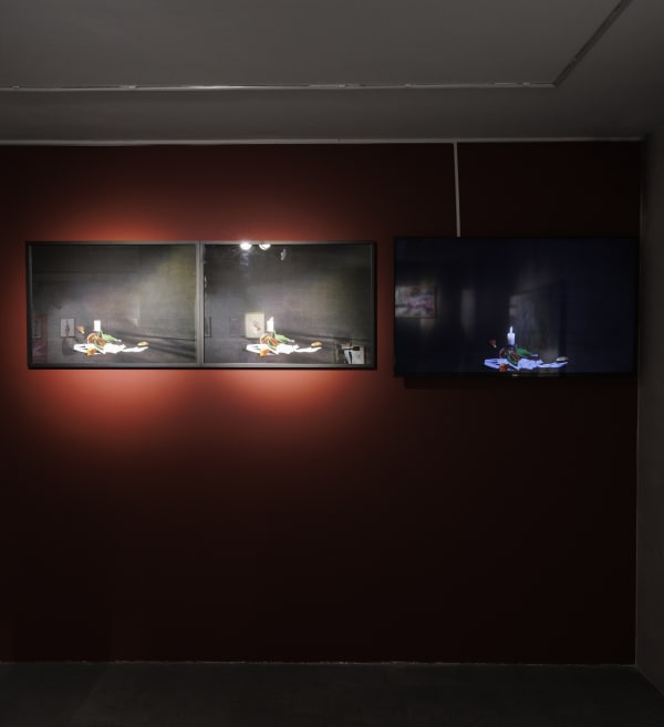 Installation View of Tulip, Solo Exhibition of Melika Shafahi, at Dastan's Basement.