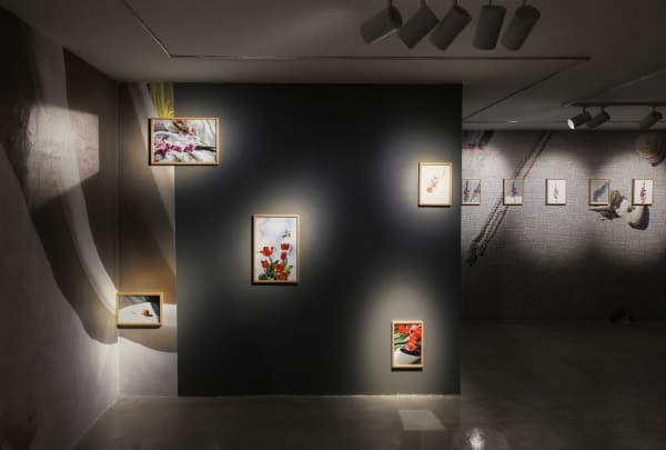 Installation View of Tulip, Solo Exhibition of Melika Shafahi, at Dastan's Basement.