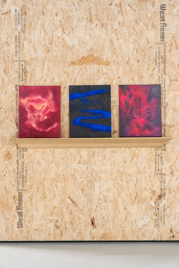 Installation View of Falling Petals in Glittering Snow, a solo exhibition by Shahrzad Jahan.