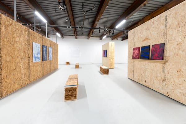 Installation View of Falling Petals in Glittering Snow, a solo exhibition by Shahrzad Jahan.