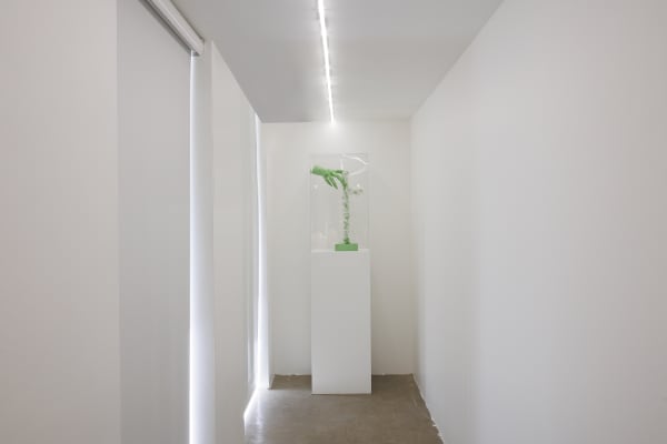 Installation View of Temptation of Green Gloves a solo exhibition of works by Rana Dehghan.