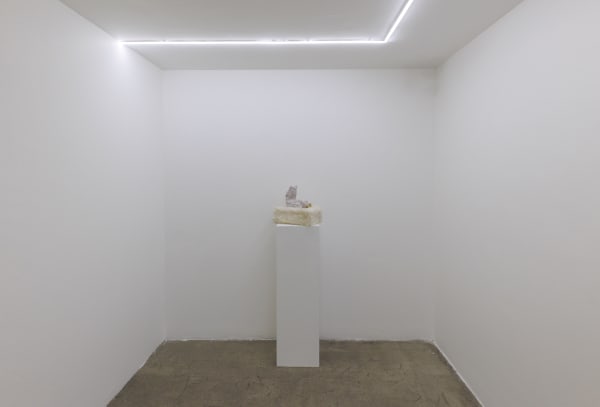 Installation View of Temptation of Green Gloves a solo exhibition of works by Rana Dehghan.