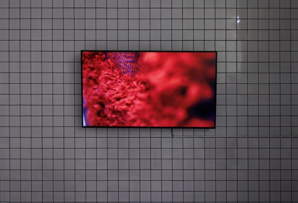 Installation view of The Tribal Weave Project a solo exhibition of works by Taher Assad Bakhtiari.