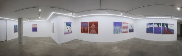 Installation view of Livelier a solo exhibition of works by Farbod Elkaei.