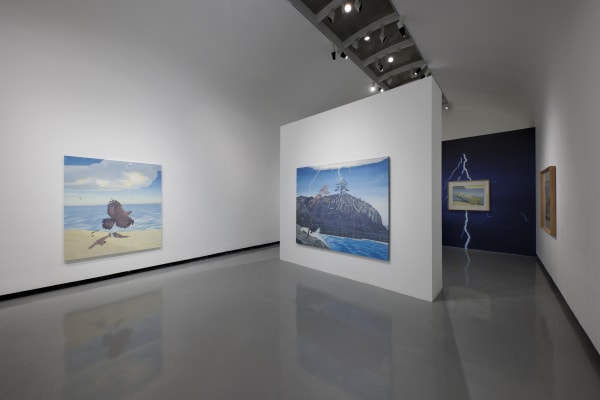 Installation view of Nashi Wind a solo exhibition of works by Meghdad Lorpour.
