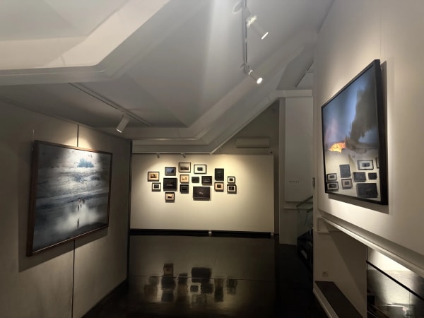 Installation View of Dogs a solo presentation of works by Matin Jameie.