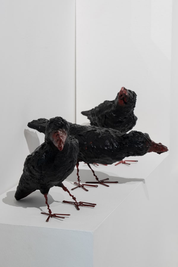 Intsallation View of 8 Fair Episode 2 a group presentation of works.