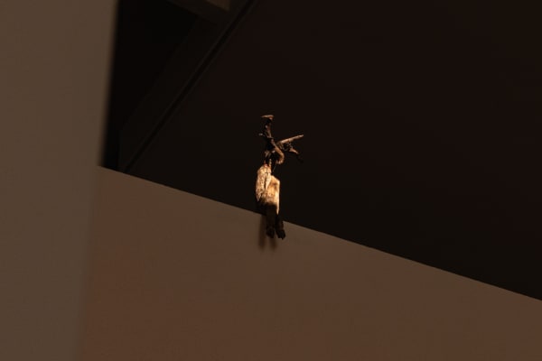 Installation View of "Seeing in the way it's not " a solo presentation of works by Peybak .