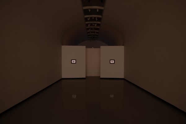 Installation View of "Seeing in the way it's not " a solo presentation of works by Peybak .