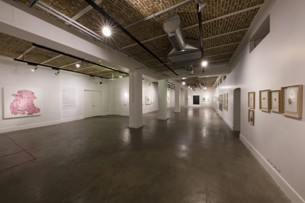 "Encircle the Apple or Shadowlessness"