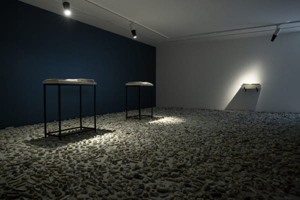 Kolsum Salehi | "The Library of Babel" Dastan's Basement