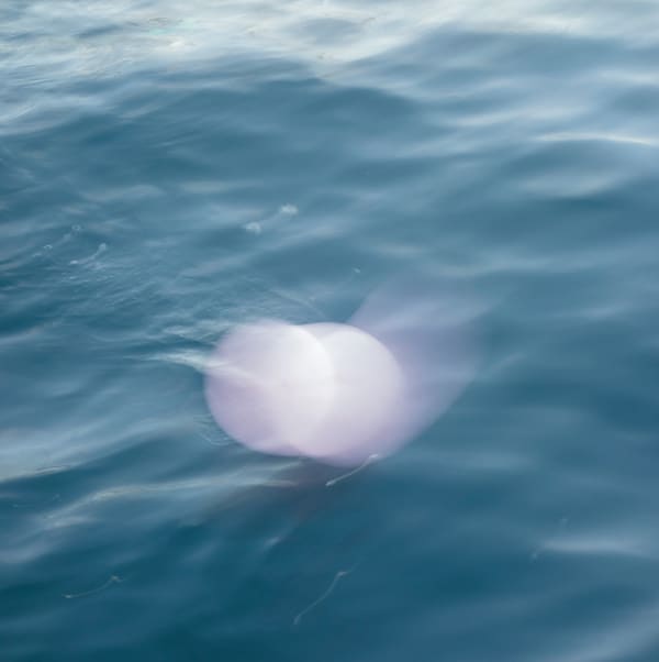 THE ARTIST'S ARTIST Twenty-three artists reflect on 2021