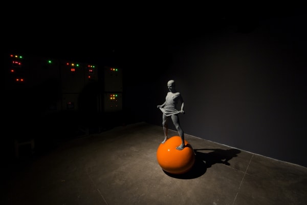 Mohammad Hossein Gholamzadeh | 'The Champion'. Electric Room 05/50. 11 - 16 August 2017. Photo by Matin Jameie