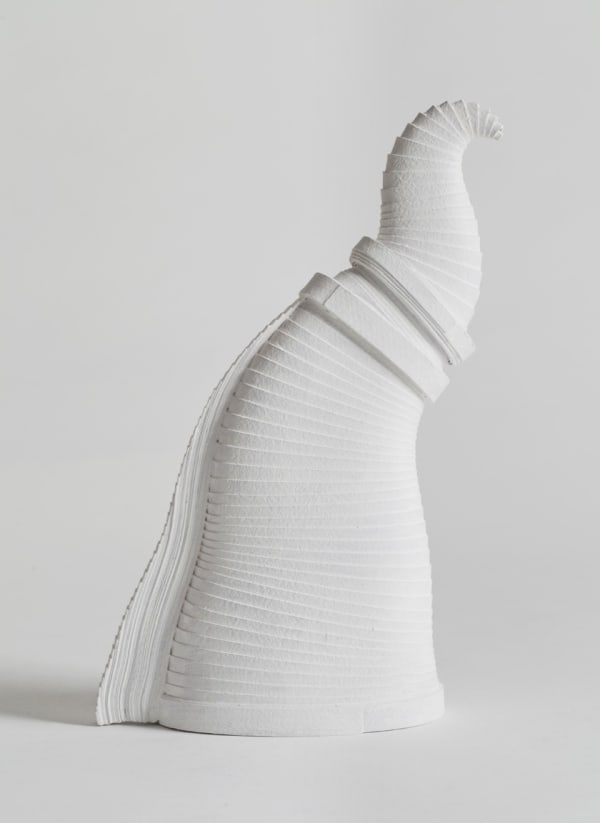 Leslie Bohnenkamp, Coiled Form