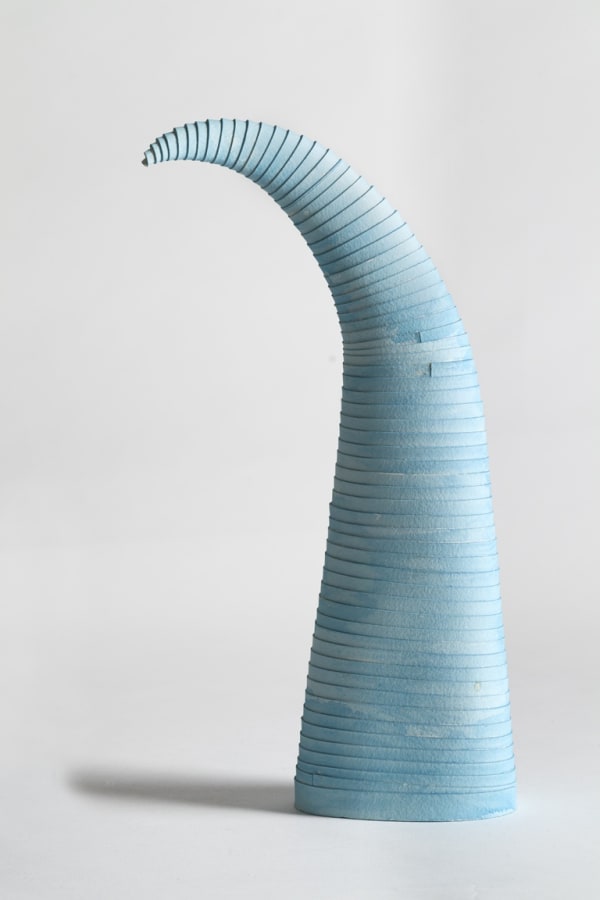 Leslie Bohnenkamp, Coiled Form