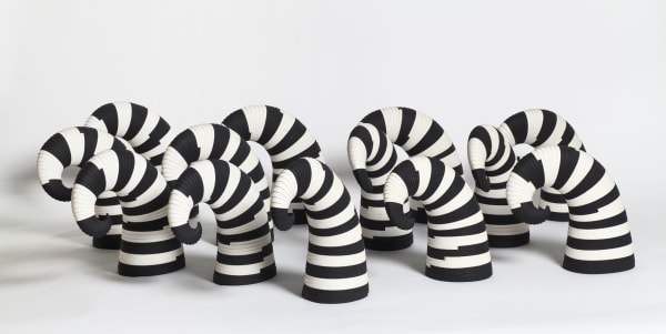 Leslie Bohnenkamp, Coiled Herd