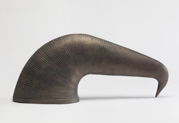 Leslie Bohnenkamp, Coiled Form