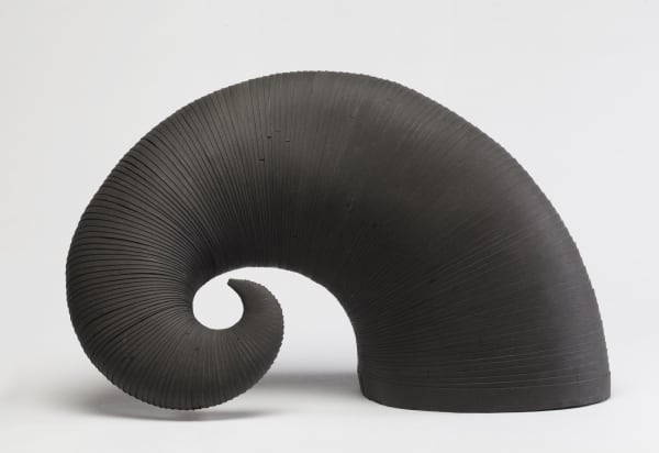 Leslie Bohnenkamp, Coiled Form