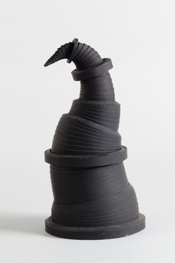 Leslie Bohnenkamp, Coiled Form