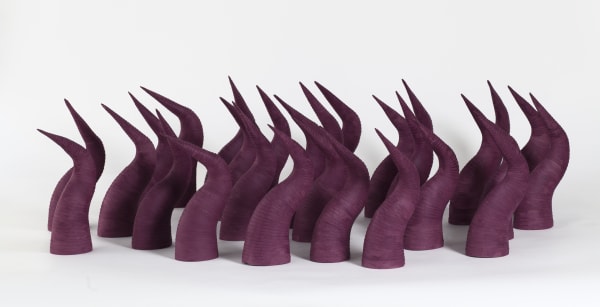 Leslie Bohnenkamp, Coiled Herd