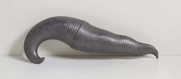 Leslie Bohnenkamp, Coiled Form