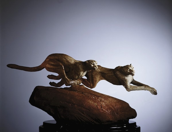 Richard MacDonald, Coursing Cheetahs